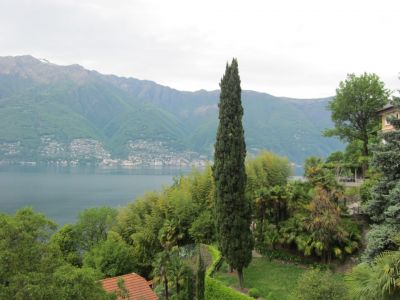 I quattro elementi