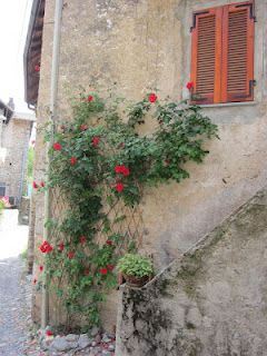 L'amore perso