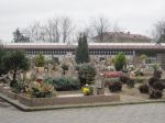 I cimiteri