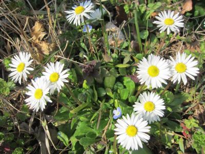 1� marzo