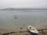 Perch� proprio a me?