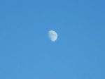Luna settembrina