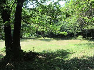 Nel verde