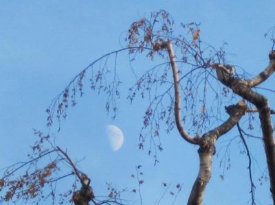 Vacanza lunare