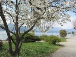 Al Sole