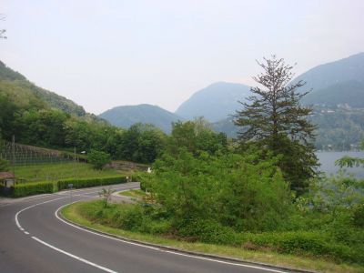 Fine delle formiche