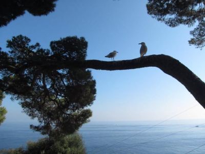 All'amica che legge