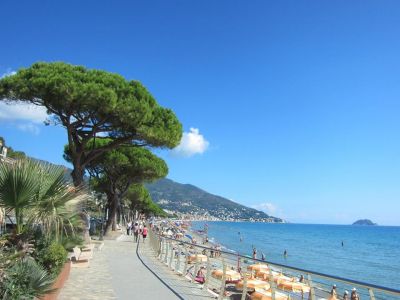 Canicola