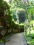 Dint' 'o viale alberato