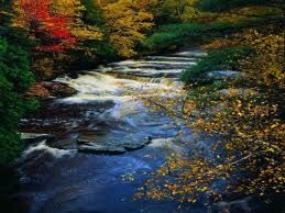 Come il fiume  