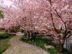 Ogn'anno a Primavera (11 aprile)
