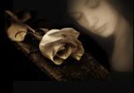 Scrivo d'amore