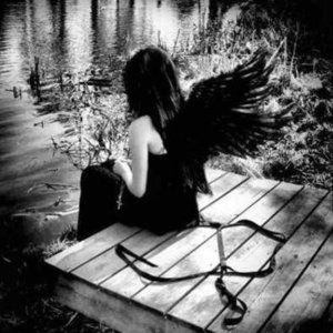 Scapper�