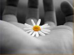 Essenze di felicit�