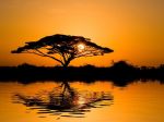 Terra d'Africa, terra senza confini  