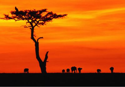 Sfogliando l'Africa