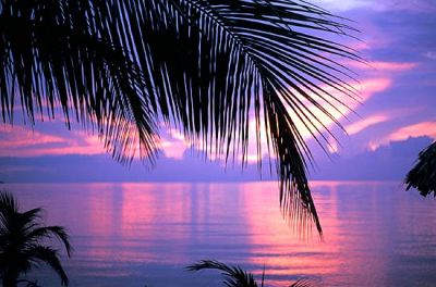 Una notte ai Caraibi