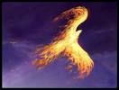 Le parole e la realt�