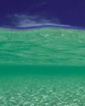 Un oceano di leggerezza