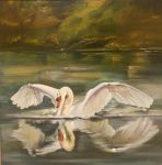 Il Cigno