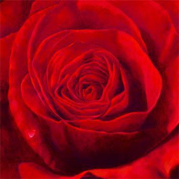 Mi trov� passione