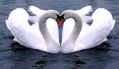 Ai limiti del Cuore  