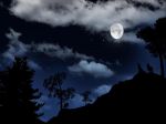Genziana � la notte