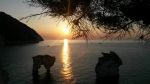 Baia delle Zagare