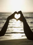 In amore  