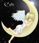 Sogni al galoppo