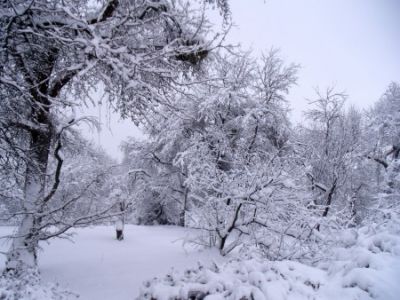 Inverno
