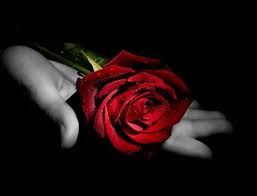 Pi� dolce appare