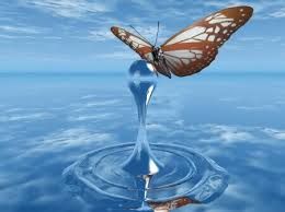 Anima d'amore