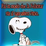 Vivere