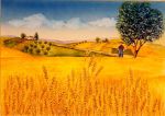 Quel campo