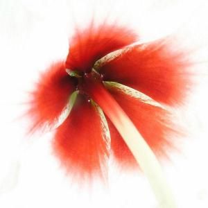 Variazioni