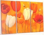 Tulipano