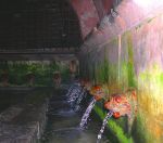 Oscuri confini  