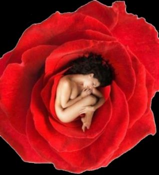 Nel bacio bagnato