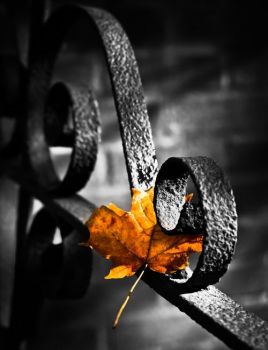 Approdi d�autunno
