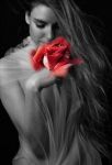 L�intuizione