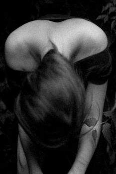 La fragilit� del vento  