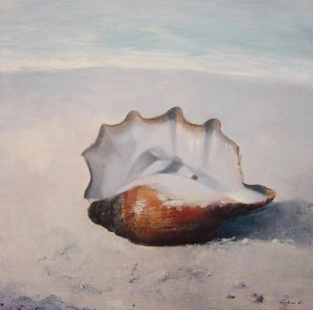 Il silenzio delle conchiglie (la prima neve d�agosto)