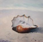Il silenzio delle conchiglie (la prima neve d�agosto)