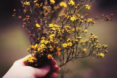 O� ils ferment les yeux