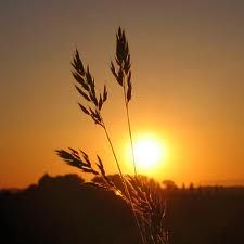 Un Novo Sole Sorride Con Te
