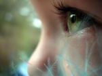 Il Colore Pi� Dolce D'Ogni Stagione  