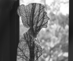 Un essere invisibile