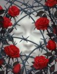 Les �pineuses roses
