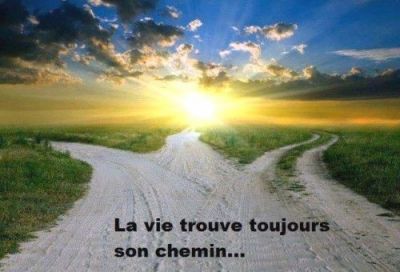 Pass�, pr�sent et futur